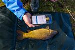 VISsenscanner: vissen herkennen met je smartphone!